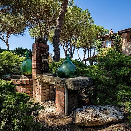 Casa Terra Rossa Daire Fauglia Dış mekan fotoğraf