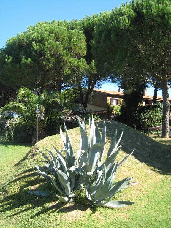 Casa Terra Rossa Daire Fauglia Dış mekan fotoğraf